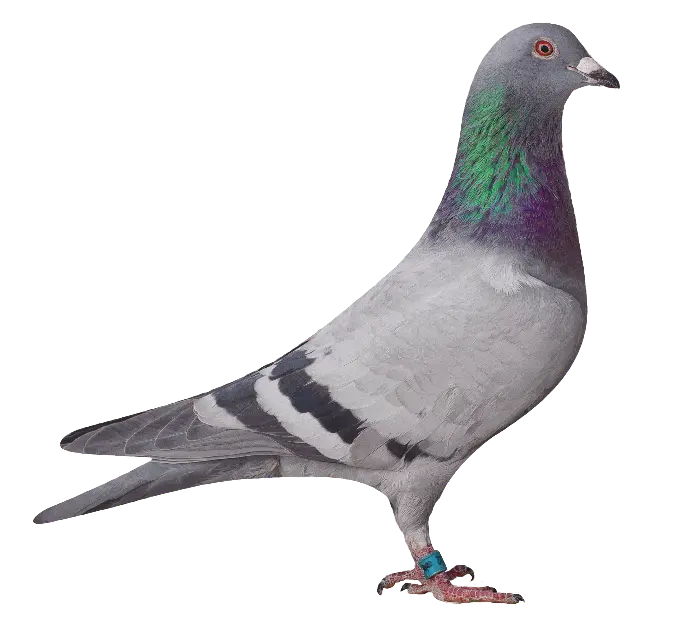 02932